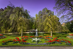 Blumenornamente im Lahrer Stadtpark.