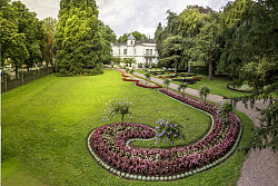 Das Bild zeigt den Stadtpark, im Vordergrund geschwungene Blumenbeete, im Hintergrund die Villa Jamm. 