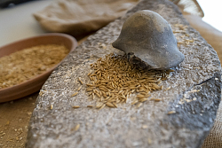 Reis liegt auf einem Stein. Ein anderer Stein wird zum mahlen verwendet.