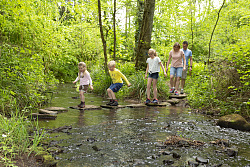 Bild: Wasserpfad Sulzbachtal 