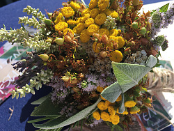 Teestrauß aus Wildblumen