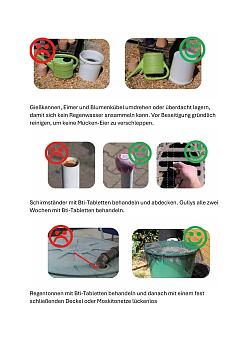 Tigermücke Tipps zur Vermeidung
