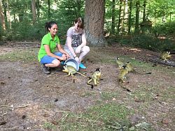 Auf dem Bild sind Dsiree Flokstra (links) vom Zoo Apenheul in Holland und Cathleen Tzschoch (rechts) vom Stadtpark Lahr mit den Totenkopfäffchen zu sehen. Die beiden Frauen hocken auf dem Boden in einer bewaldeten Umgebung. Vor ihnen tummeln sich die Äffchen.