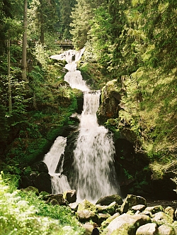 Die Seite der Stadt Lahr zeigt eine Übersicht lohender Ausflugsziele in die Region: Hier die Triberger Wasserfälle.&#13;&#10;Das Bild zeigt den Hauptfall. Das Wasser stürzt über Felsen inmitten einer grünen Natur. &#13;&#10;