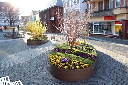Zwei ovale Blumeninseln mit je einem blühenden Baum sowie Frühlingsblumen auf dem Lahrer Urteilsplatz.