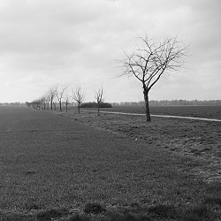 Neblige Landschaftsaufnahme in schwarz-weiß