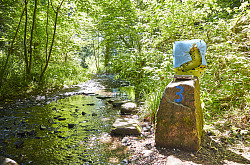 Das Bild zeigt die Station der Masken-Köcherfliegenlarve auf  dem Wasserpfad Sulzbachtal mitten im Wald direkt am Bachlauf des Sulzbach. Eine Hinweistafel auf einem Stein montiert erklärt die Benutzung der Station.