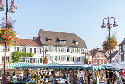 Mitmachwerkstatt; Stadt Lahr, Wochenmarkt