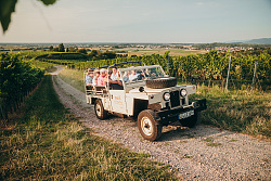 Landrover Tour am Schutterlindenberg, Stadt Lahr