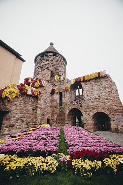 Storchenturm, Stadt Lahr während der Chrysanthema 2024