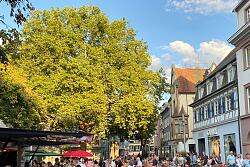 Veranstaltungen in der Innenstadt von Lahr/Schwarzwald