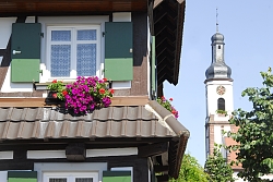 Das Bild zeigt links die blumengeschmückte Fassade eines Fachwerkhauses und rechts davon den Kirchturm von Meißenheim.