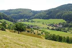 Das Bild zeigt typische Schwarzwaldhöfe zwischen Wiesen und Wäldern im Schuttertal.