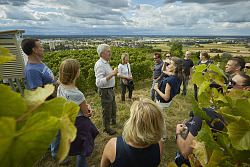 Weinwanderung am Schutterlindenberg in Lahr mit Winzer Hans Wöhrle.